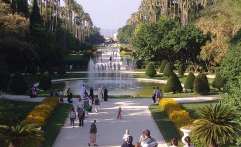 ذبح الطفل ريان