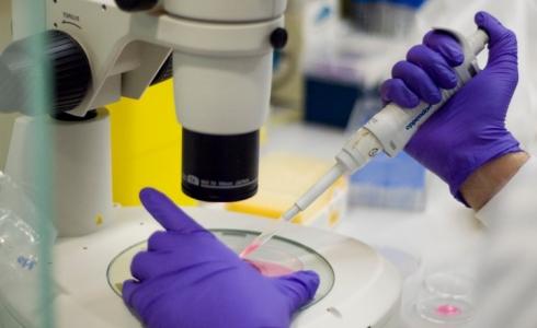 مختبرات طبية لفحص كورنا.