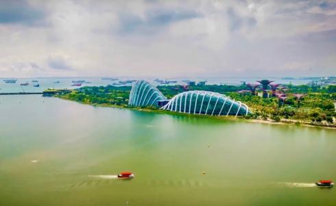 السعودية - توضحية -