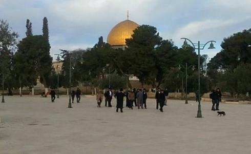 مستوطنون يقتحمون المسجد الأقصى "ارشيف"