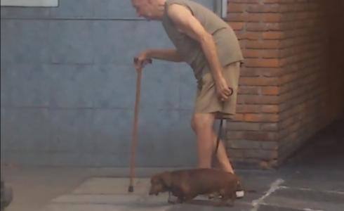 مؤثر.. مُسن محني الظهر برفقة كلبه &#039;خطوة بخطوة&#039;!