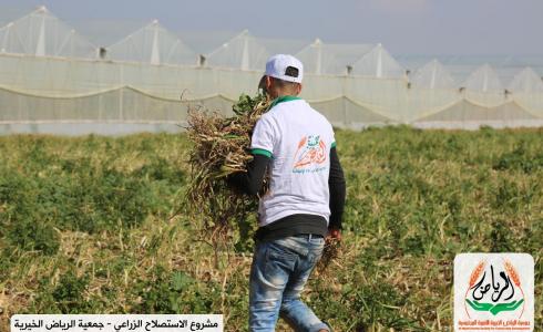 مشروع الاستطلاح الزراعي لجمعية الرياض الخيرية 