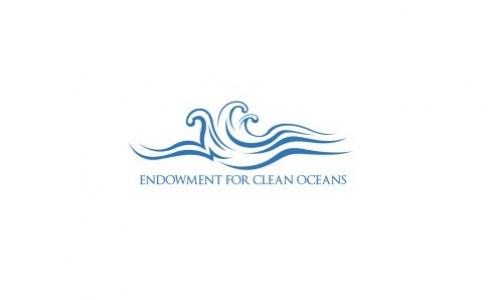 سفيرة المحيط في هولندا تنضمّ إلى لجنة روّاد الأعمال للتحكيم في صندوق الهبات من أجل محيطات نظيفة