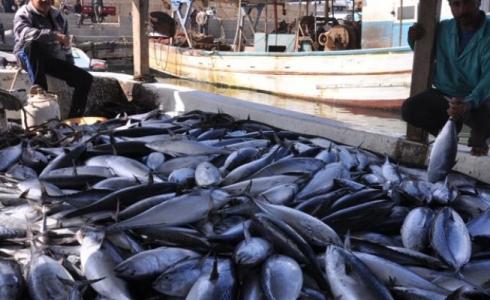 صيد الأسماك في غزة  - أرشيفية -