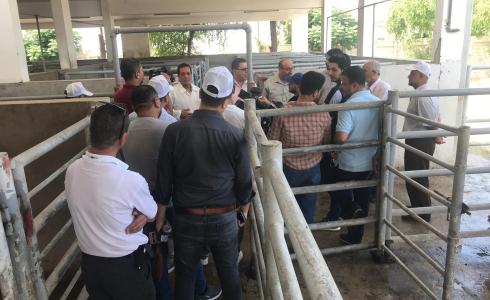 الزراعة في غزة تنظم جولة على مزارع الأضاحي