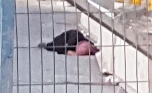 استشهاد مواطنة على حاجز قلنديا