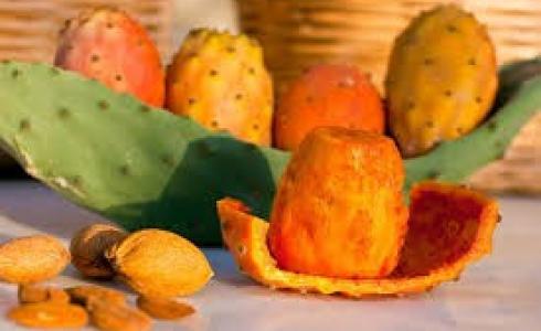 طرق اختيار التين الشوكي - ثمار الصبار- الناضج وكيفية تنظيفه