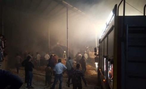 اندلاع حريق هائل بمزرعة أبقار وأغنام في نابلس