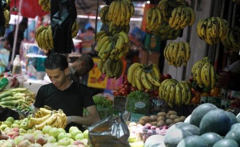 اسعار الفواكه في غزة