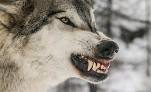 شاهد: رصد أصوات مرعبة على مشارف مدينة أمريكية