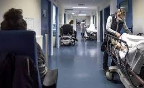 وفيات كورونا بنيويورك