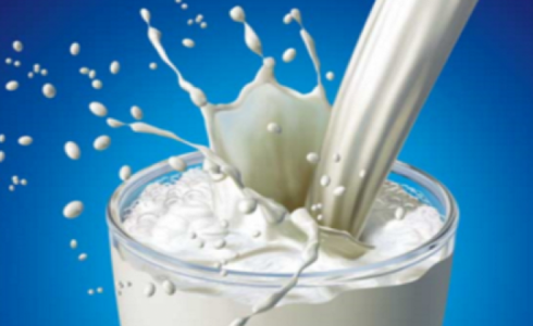 ضبط أكثر من 2000 عبوة من الألبان التالفة في غزة