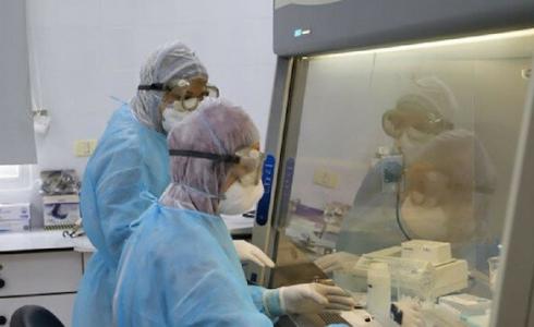 فحص كورونا غزة - ارشيفية