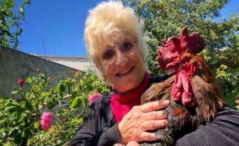 الديك موريس وصاحبته