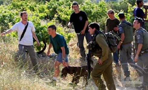 اعتداء مستوطنين على مزارعين فلسطينيين
