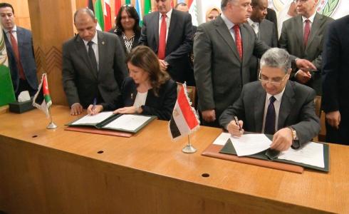 المجلس الوزاري العربي للكهرباء