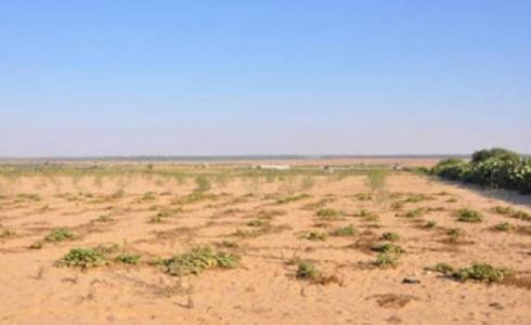 ارض المندوب في رفح وخانيونس جنوب قطاع غزة