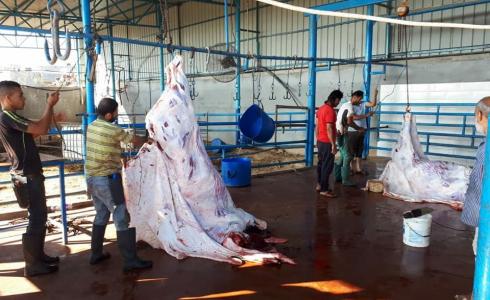 مشاهد الأضاحي في مدينة غزة