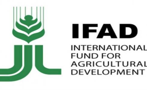الصندوق الدولي للتنمية الزراعية