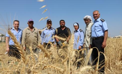 مشاركة الشرطة في حصاد القمح في الخليل