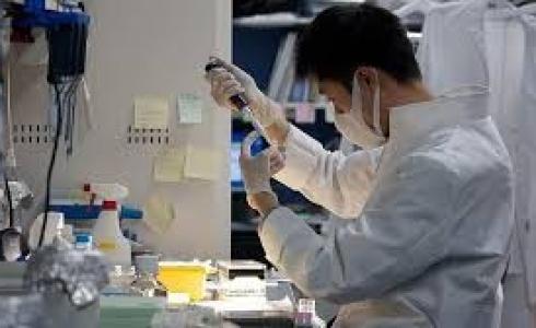 اختبار الملاريا.