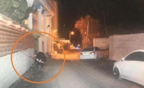 من جريمة قتل ساهر محاميد