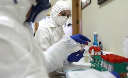 فحص كورونا في غزة