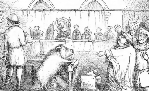 رسمة لمحاكمة أنثى الخنزير خلال فترة العصور الوسطى.png