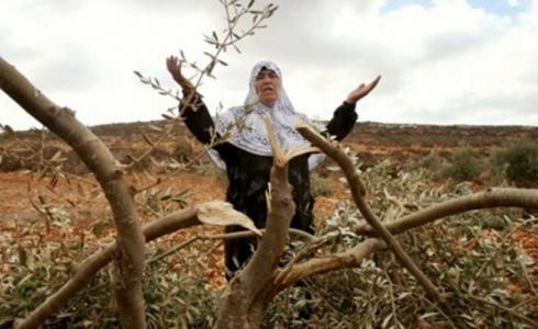 آثار اعتداءات المستوطنين -أرشيف-