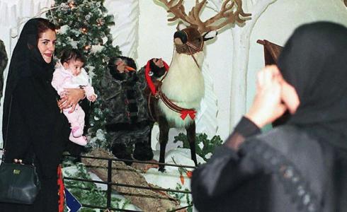 شجرة عيد الميلاد - ارشيفية -