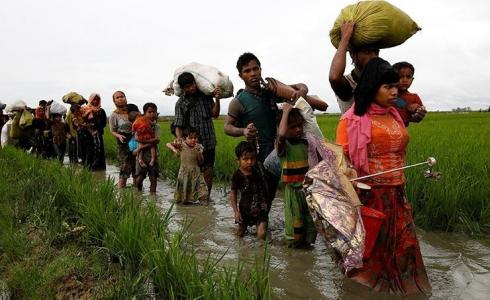 مسلمو الروهينجا على الحدود بين ميانمار وبنجلادش