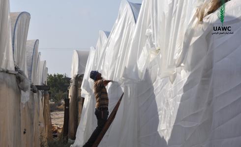 تأهيل 57 دفيئة زراعية في المحافظة الوسطى