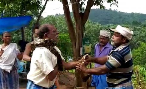 ثعبان يلتف حول رقبة رجل ويخنقه