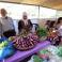 انطلاق فعاليات مهرجان الباذنجان البتيري وعسل حواكير بتير السادس في بيت لحم