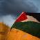 ترحيب عربي بقرار ثلاث دول أوروبية الاعتراف بدولة فلسطين
