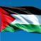 علم فلسطين - تعبيرية
