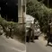 مستوطن مسلح ينكل بخمسة أطفال فلسطينيين في الخليل