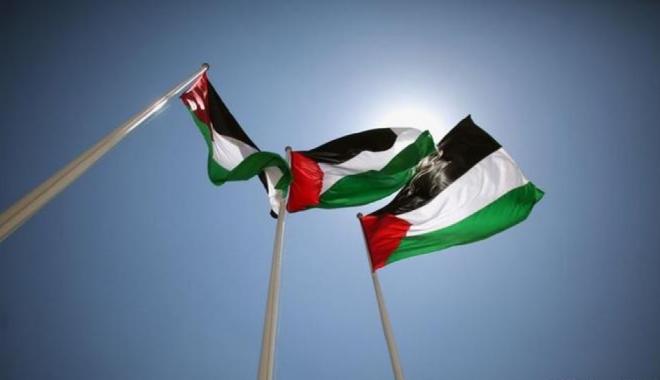 علم فلسطين - تعبيرية