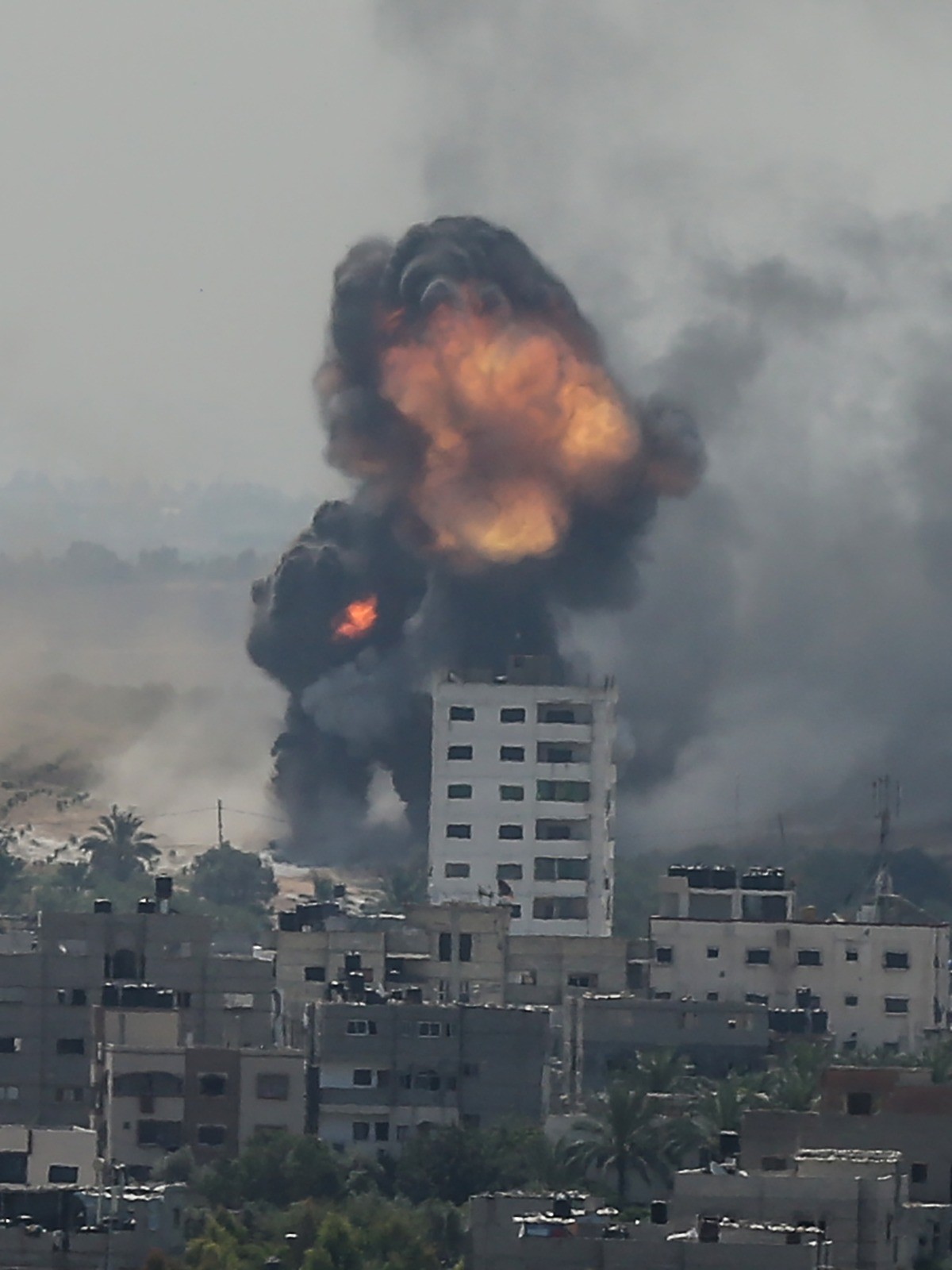 WhatsApp Image 2021-05-20 at 11.41.23 AM (1).jpeg