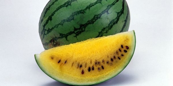 yellow-taer-melon.jpg
