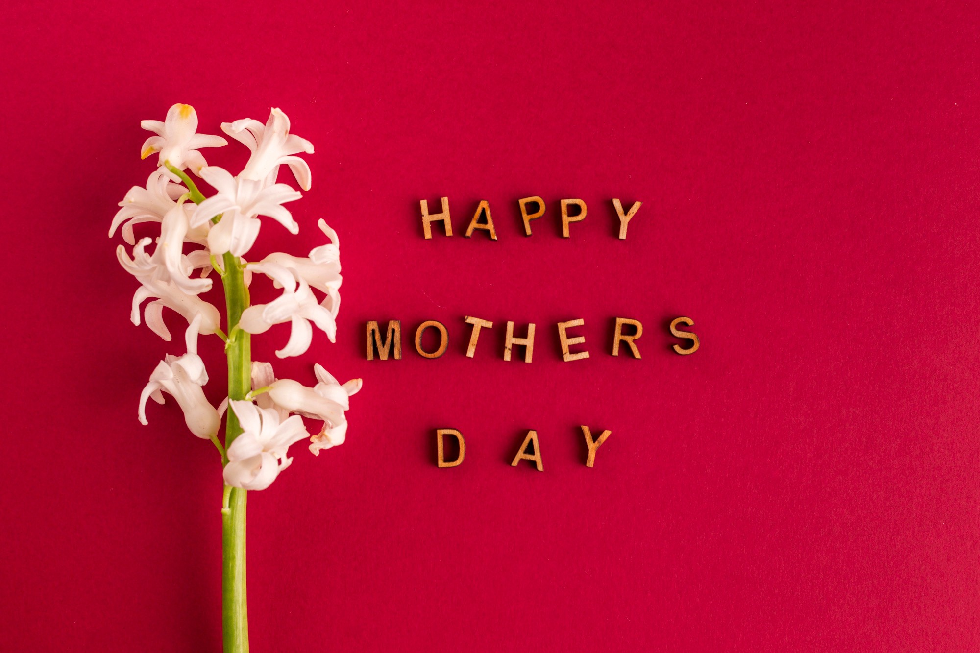 happy-mothers-day-inscription-near-flower.jpg