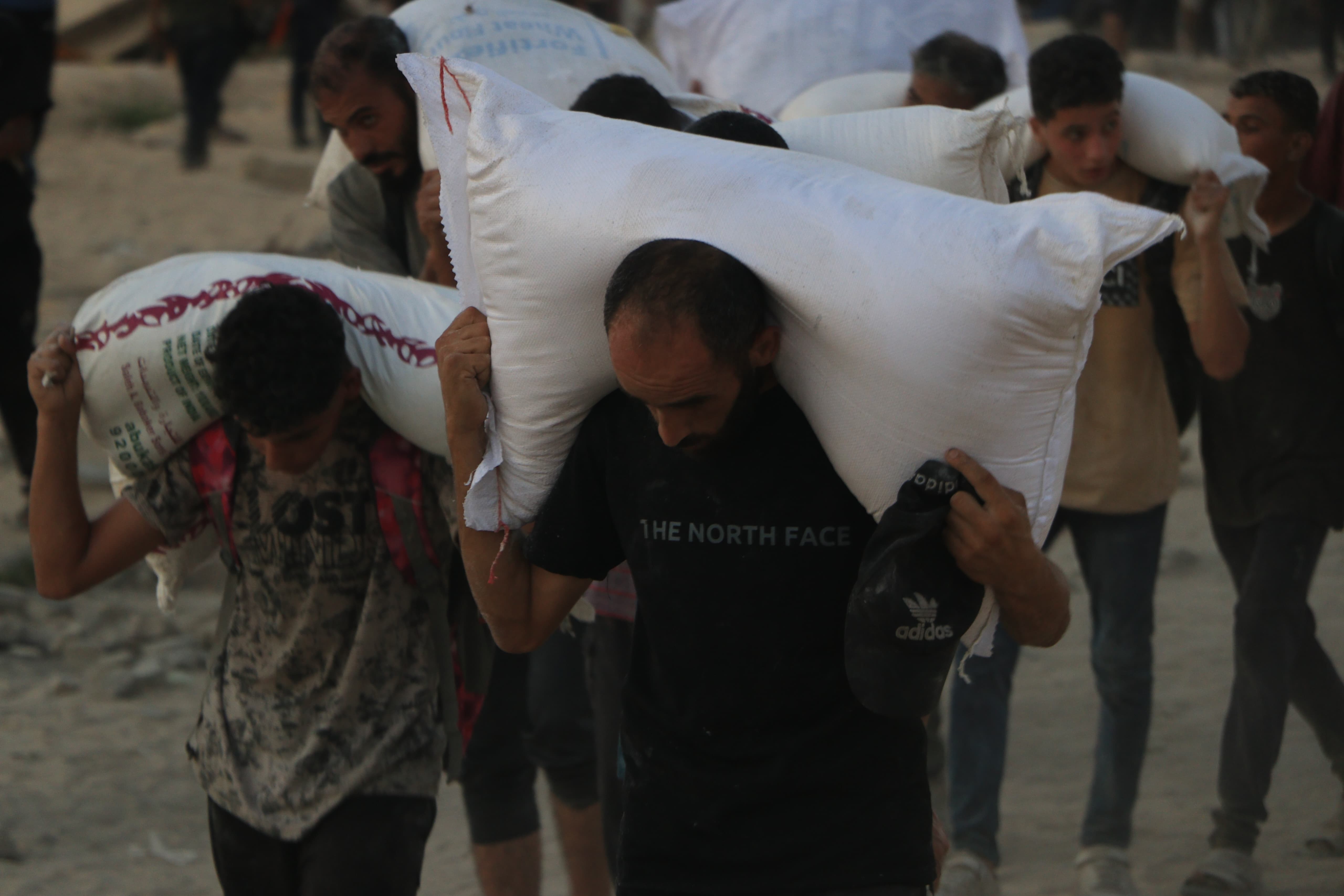 Mohamad_Dababish_00 (4).jfif