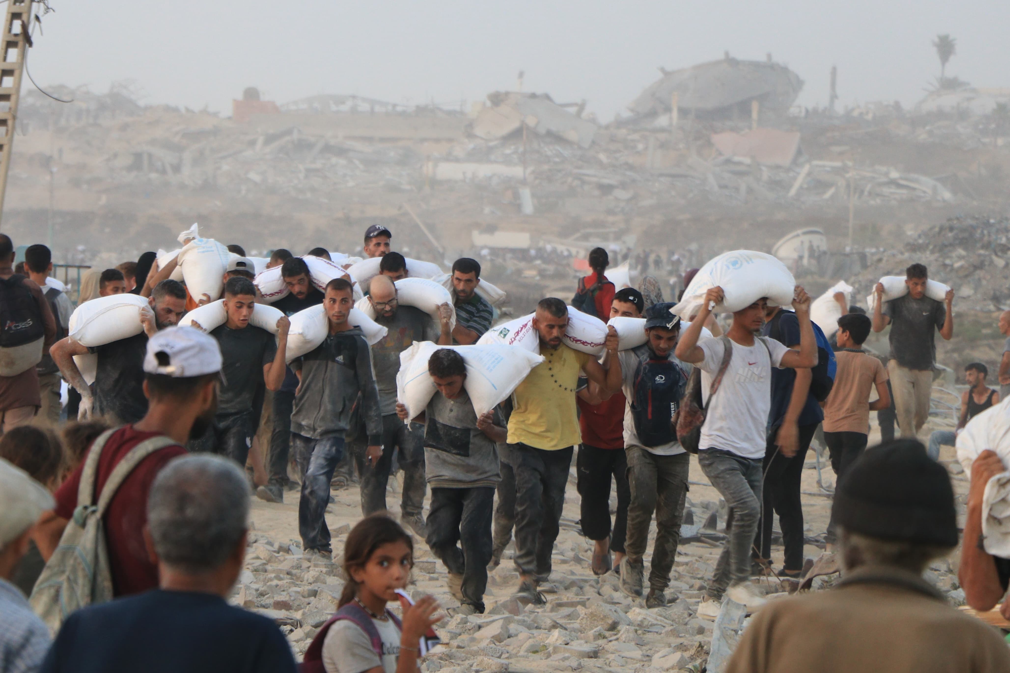 Mohamad_Dababish_00 (25).jfif