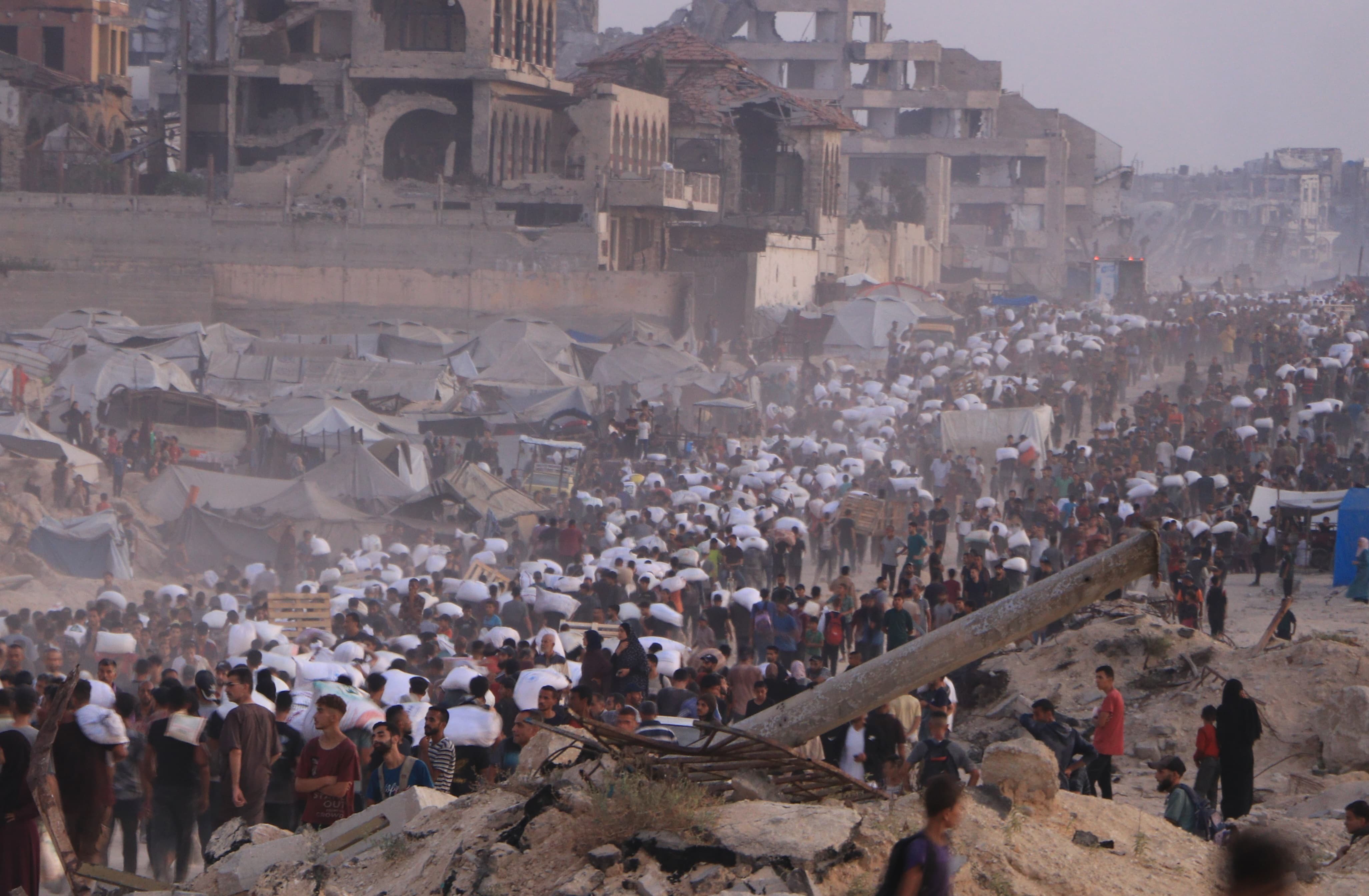 Mohamad_Dababish_00 (7).jfif