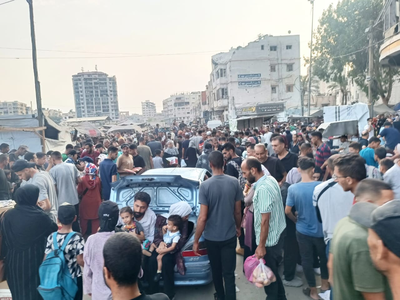 WhatsApp Image 2025-08-11 at 9.16.18 AM.jpeg