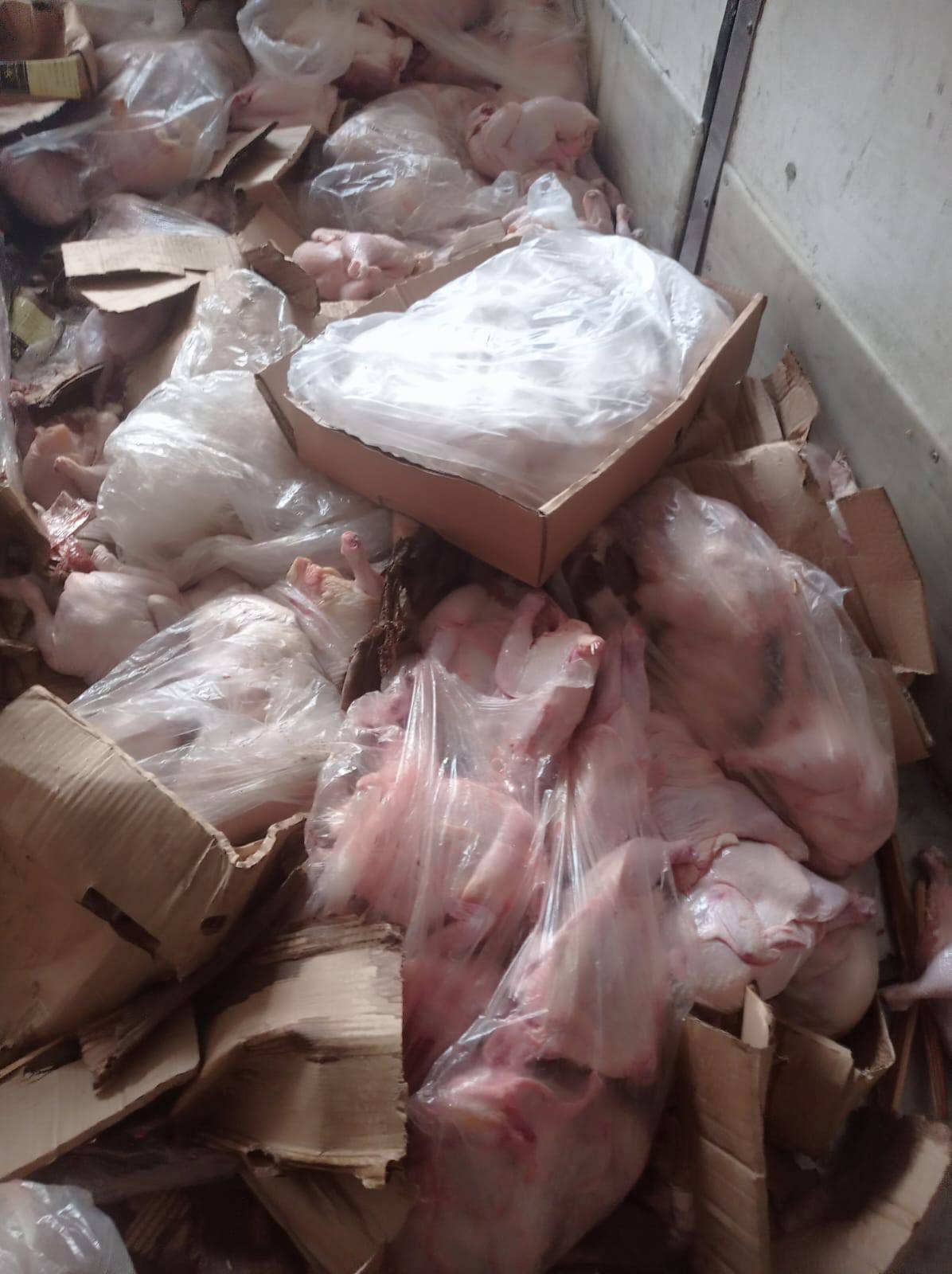 بالصور: اتلاف 6 طن من الدجاج الفاسد وسط قطاع غزة