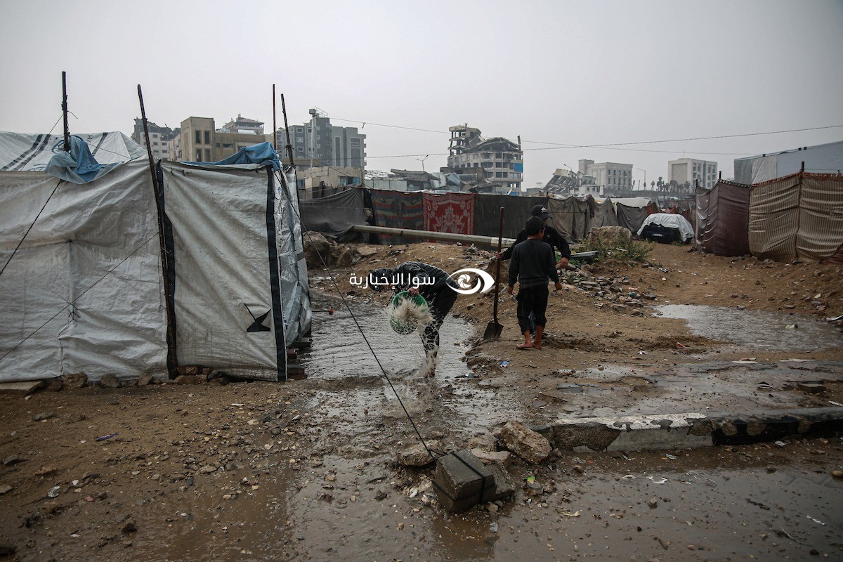 WhatsApp Image 2025-11-14 at 7.12.21 PM.jpeg