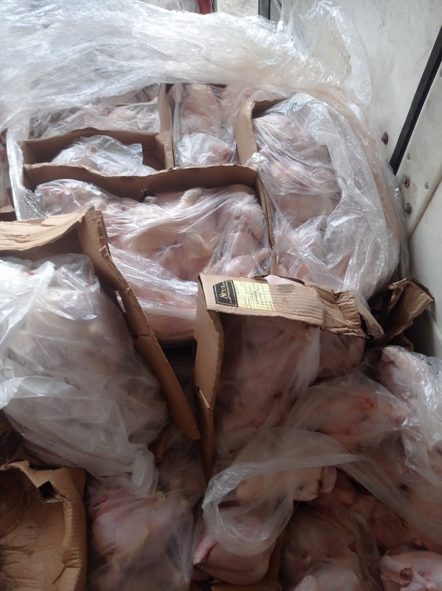 بالصور: اتلاف 6 طن من الدجاج الفاسد وسط قطاع غزة