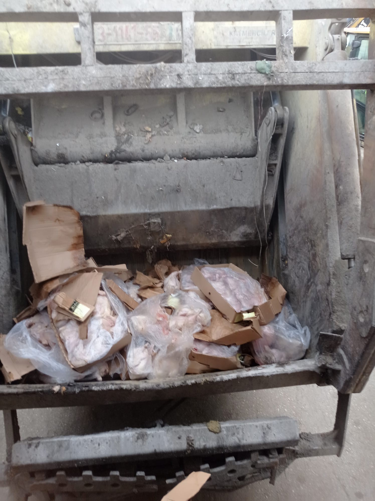 بالصور: اتلاف 6 طن من الدجاج الفاسد وسط قطاع غزة