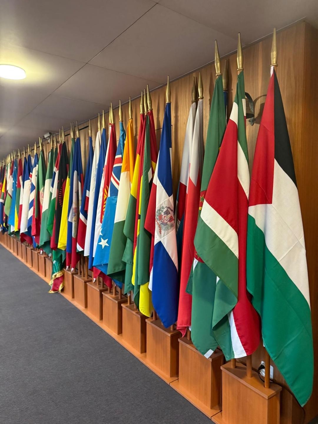 برن.jpg-ad74c776-7370-41a2-bde2-0f1d818310b7 (1).jpg